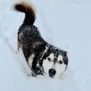 Meet your Posher, Kaitlyn